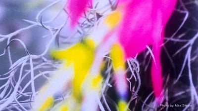Abstract photo