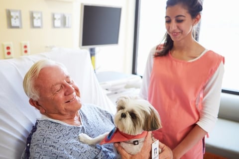 Did you know? Philanthropy at Walker Methodist