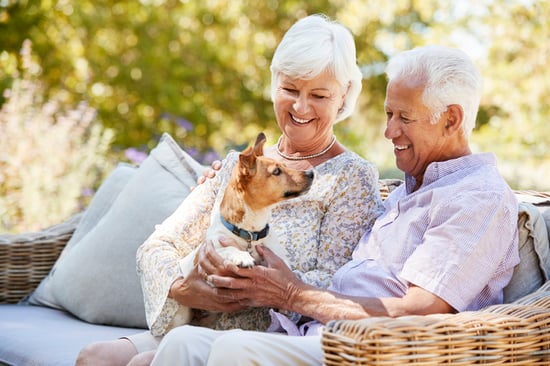 older couple sitting outside and playing with small dog on their laps