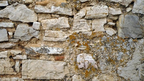 How the story of Nehemiah inspires us at Walker Methodist