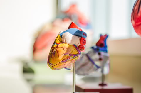 Cardiovascular health and how you can improve it