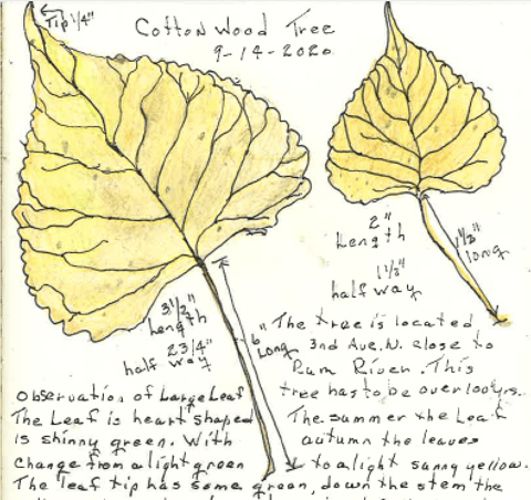 “I’m capable of doing new things”: Virtual nature art class