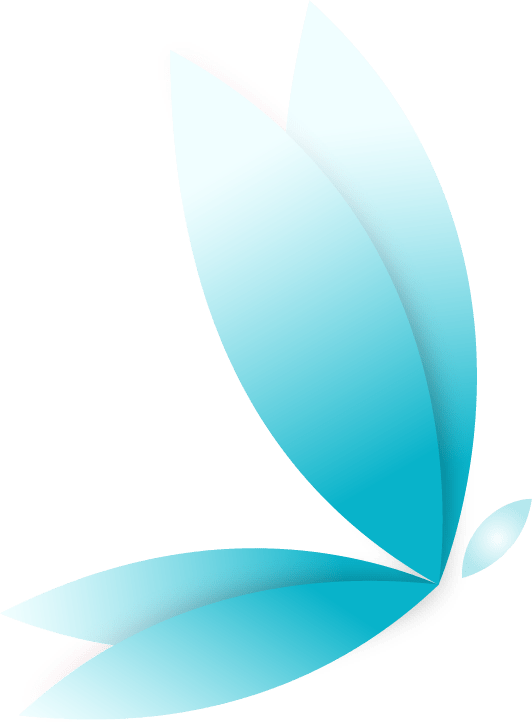 butterfly accent
